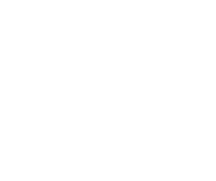 AE Interactive Logo